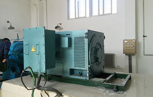 YR4005-4某水电站工程主水泵使用我公司高压电机