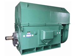 YR4005-4Y系列6KV高压电机