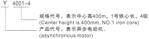 西安泰富西玛Y系列(H355-1000)高压YR4005-4三相异步电机型号说明